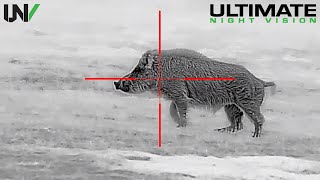 Hunting Big Boars with High Definition Thermal 1280x1024 [upl. by Yra347]