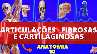 ARTICULAÇÕES FIBROSAS E CARTILAGINOSAS  ENTENDA A ANATOMIA DAS ARTICULAÇÕES [upl. by Demb]