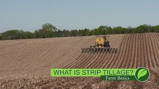 Farm Basics  1073 What Is Strip Tillage Air Date 102818 [upl. by Diraj]