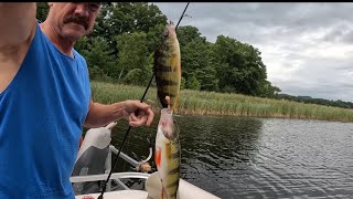 Summertime Jumbo Perch [upl. by Medlin]