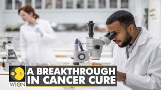 Medical Miracle A breakthrough in Cancer cure  International News  English News  WION [upl. by Chitkara]