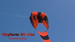 Skyform 60 parafoil kite [upl. by Merill397]