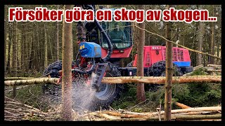 Försöker få till en skog av skogen En riktigt mörk skog kommer att få se ljuset igen [upl. by Arabel]