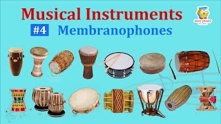 Membranophones 14 Musical Instruments Pictures amp Sounds  Ethnographic Classification  Olympiad [upl. by Lindblad]