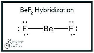 BeF2 Beryllium fluoride Hybridization [upl. by Boeke]