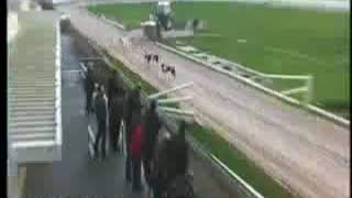 IGB  The Retired Greyhound Calendar A3 SemiFinal 09122018 Race 3  Mullingar [upl. by Toole]