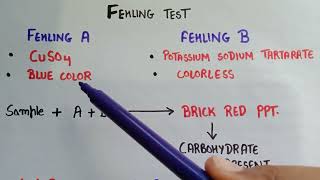 Fehlings test for carbohydrates  fehling solution A and B  test for carbohydrates  fehlings test [upl. by Champ589]