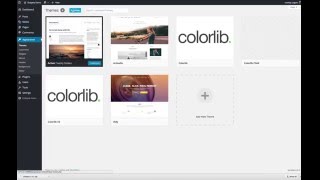 How to install and activate Shapely WordPress theme by Colorlib [upl. by Hgieliak587]