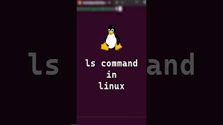 110 Basic Linux Commands  ls command Explained in 20 Seconds shorts linux [upl. by Romy]