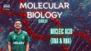 Nucleic Acid  DNA amp RNAclass01 molecular biology Pharmacy Bangla [upl. by Eessac161]