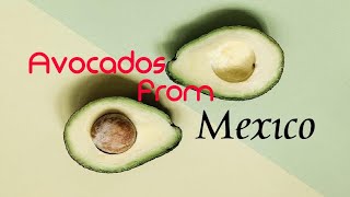 Avocados from Mexico meme [upl. by Nylac]