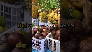 Top 5 Fruits for Digestive Health [upl. by Aisul68]