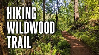 I Hiked 30 Miles in a Day  Wildwood Trail in Forest Park Portland OR [upl. by Mobley186]