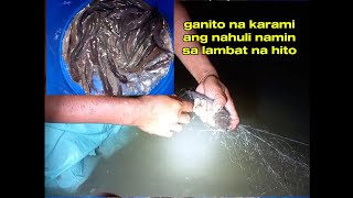 ganito na karaming hito ang nahuli namin sa lambat [upl. by Romelle602]