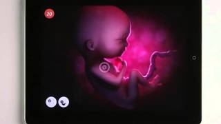 Life in the Womb  Pregnancy App [upl. by Brodeur365]