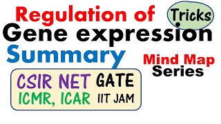 Regulation of gene expression [upl. by Anaujat]