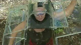 Im A Celebrity Get Me Out Of Here 2009 Final E19 P2 [upl. by Boswall]