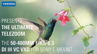 Tamron 70300mm F4563 Di III RXD Review compared to Sony 70300mm F4556 [upl. by Ahsait]