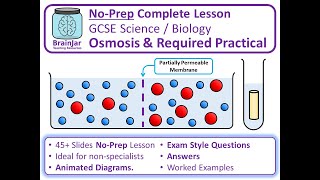 Osmosis and Required Practical  AQA GCSE Science amp Biology [upl. by Rees714]