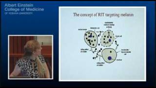 Licensing Einstein Technology 2 of 3 [upl. by Friday591]