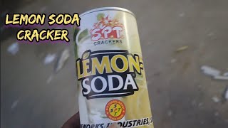 Lemon soda cracker  Satisfying video Diwali crackers Diwali 2024 [upl. by Anuhsal]