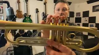 Review Aliexpress Trumpet  Forest [upl. by Eliason]