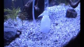 DIY Aquarium Gravel Vacuum Cleaner [upl. by Doowle]