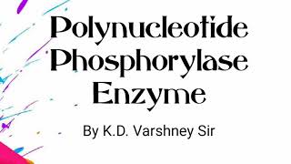 Polynucleotide Phosphorylase enzyme [upl. by Ierdna531]