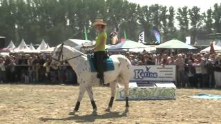 CAVALLO Meike Böttcher siegt mit Haflinger Kimo [upl. by Ylluz]