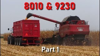 Case IH 9230 amp 8010  Corn harvest 2019  Part 1 OptumPuma6R8330 [upl. by Ahrens]