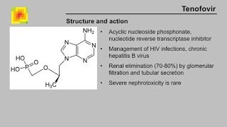 Pharmacology of Tenofovir  Clinical uses Mechanism of action Absorption Side effects [upl. by Annahoj]