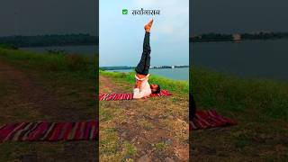 How to do sarvagasana 🤸🏻  Shoulder stand yoga pose  सर्वांगासन  कमल योग केंद्र ytshort yoga [upl. by Cir489]