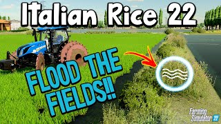 HOW TO FLOOD YOUR FIELDS ON ITALIAN RICE 22 MOD MAP 🌾🍘🍚 🚜 GRAINMAN EXPLAINS [upl. by Amadeo464]