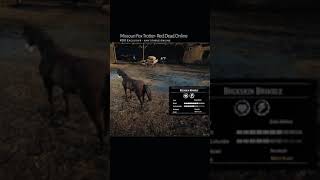 RDR2 • All Missouri Fox Trotter Horse Colors and Locations • Red Dead Redemption 2 [upl. by Darrey]