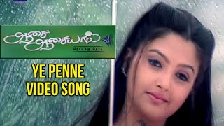 Aasai Aasaiyai Tamil Movie  Ye Penne Video Song  Jiiva  Sharmelee  Mani Sharma [upl. by Darrill]