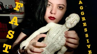 ASMR⚠️MY NEW ACUPUNCTURE DOLL FAST AGGRESSIVE BACK HEAD SCRATCHING TAPPING GRIPPING MASSAGE LOUD [upl. by Elbring]