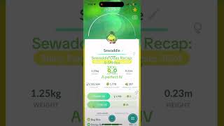 Sewaddle community day haul pokemon shinypokemon pokemoncommunityday [upl. by Ennavoj386]