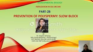 Slow to Polyspermy in Sea Urchin  CSIR UGC NET Dr Gayatri Acharya [upl. by Sirtimid]