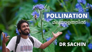 pollination and kinds of pollination  malayalam  knowledge vlogger  class 12 [upl. by Emelyne]