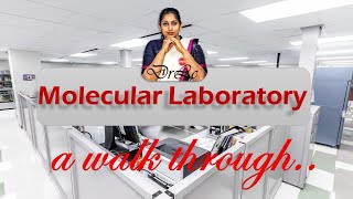 Molecular laboratory Setup  Complete Walkthrough [upl. by Hieronymus]