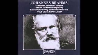 Brahms Waldesnacht du wunderkuhle from Heyses Jungbrunnen [upl. by Lehcear387]