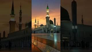 Ya Nabi Salam Alaika  Maher zain Songs  arabicmusic arabicringtone maherzaingojol shorts [upl. by Doggett]