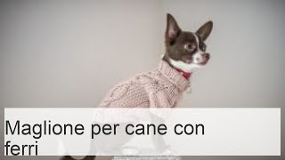 Maglione per cani ai ferri caratteristiche e istruzioni per principianti [upl. by Eceinahs259]