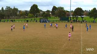 Balmoral FC v Albion Rovers  Under 14s  02062024 [upl. by Lemor]