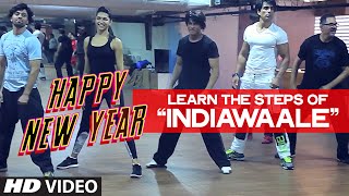 OFFICIAL Learn India Waale DANCE STEPS with Shahrukh Khan  Happy New Year [upl. by Llertnor]