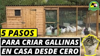 Cómo CRIAR Gallinas Ponedoras En CASA Paso A Paso [upl. by Joshua520]