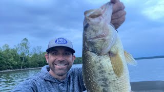 Lake of the Ozarks FISHING REPORT May 2024 [upl. by Pish]