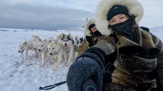 Greenland 2018  GoPro [upl. by Ettenim]