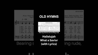 Hallelujah What a Savior hymnlyrics oldhymns hymnsong [upl. by Hobey]