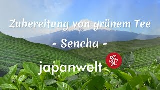 Doku Grüner Tee Die richtige Zubereitung von Sencha  Die Welt des japanischen Tees bei Japanwelt [upl. by Anilorac]